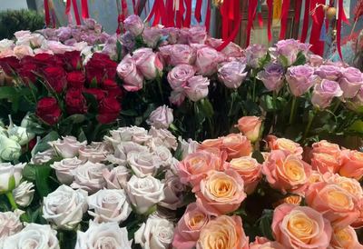 七夕禮品新風(fēng)尚 實(shí)用型禮物走俏，花卉市場(chǎng)綻放浪漫經(jīng)濟(jì)