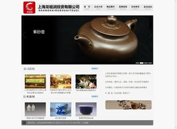 上海網(wǎng)絡(luò)營銷案例集錦 從網(wǎng)站建設(shè)到整合推廣的精算師式成功實(shí)踐